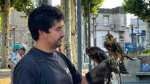 San José comienza a usar cetrería para combatir tordos y palomas
