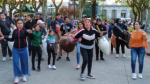 Ensayo de Rosario 250