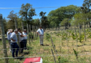 Autoridades de INAVI visitaron viñedo y bodega Complejo Mauá de la Intendencia de Soriano