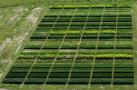 Encuesta a referentes sobre malezas en agricultura y pasturas