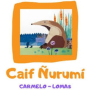Carmelo: CAIF Ñurumi ya inscribe niños de 0 a 35 meses