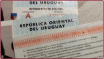 Prórroga hasta el 31/12/21 de licencias de conducir y otros documentos
