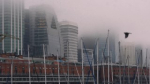 Puertos cerrados por niebla