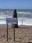 Faro de barro en homenaje a 150 años de derrumbe del primero de La Paloma