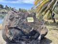 Piedra Fundacional en las canteras de + Colonia