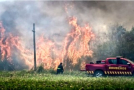Colonia del Sacramento fue testigo de un incendio de importantes dimensiones