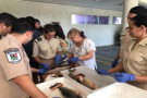 Jornada binacional de capacitación ante mortandad de peces en la CARU