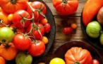 Se presentó en Punta del Este la 3ª Cata Nacional de Tomates