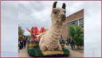 Nueva Palmira. 54ª Fiesta de la primavera se vivirá sin público.