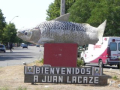 Áreas Pedagógicas en Juan Lacaze con baja inscripción