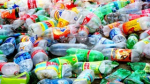 Peligra continuidad de Nueva Palmira Recicla por falta de reciclables.