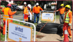 Antel terminará tendido de fibra óptica este año