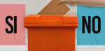Comportamiento del electorado del Departamento en el referéndum 