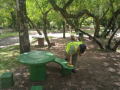 Municipio de Nueva Helvecia reacondiciona el parque Varela con miras al verano