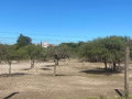 Imprevisión: Intendencia condonó deuda de más de $ 63 millones y no intentó canjear al M. de Turismo el préstamo caduco del predio de 4 ha parte de la Reserva