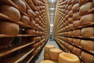 27 de marzo Día Internacional del Queso Recomendaciones para elegir el mejor producto