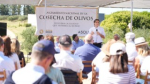 Máximo organismo mundial de aceite de oliva estuvo en el Primer Lanzamiento Nacional de la Cosecha 