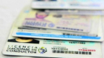 SUCIVE trabaja para implementar licencia de conducir por puntos