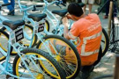DVuelta: 12 bicicletas recuperadas por privados de libertad en Juan Lacaze