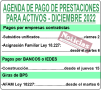 BPS ACTIVOS DICIEMBRE 2022 