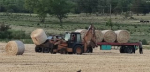 Productor donó fardos a colonos lecheros