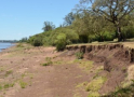 Erosión costera en Colonia, preocupa el proyecto +Colonia