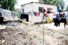 Aumento de prestaciones del MIDES acusa incremento de poblaciones vulnerables en Colonia