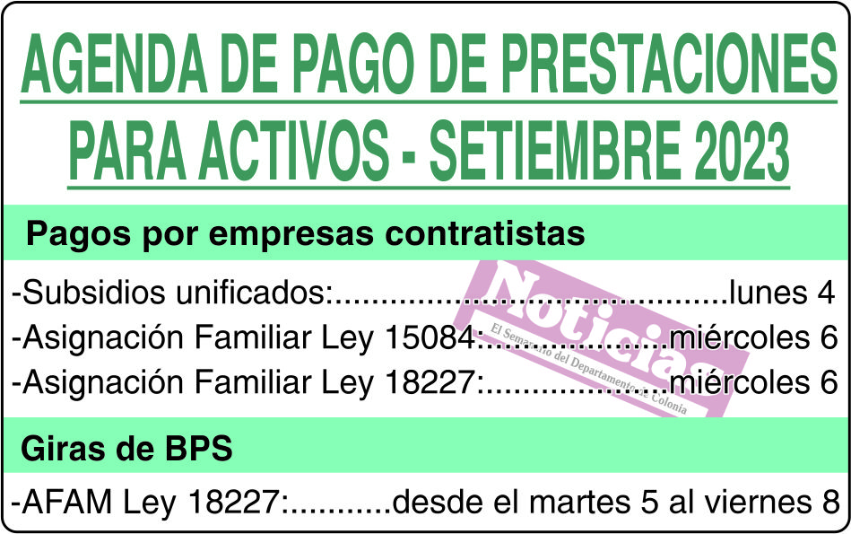 Agenda de pago activos