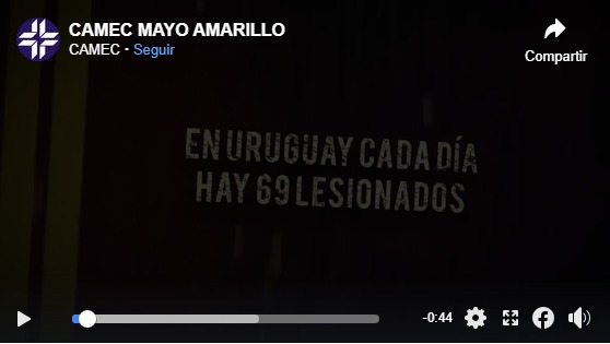 CAMEC AMARILLO