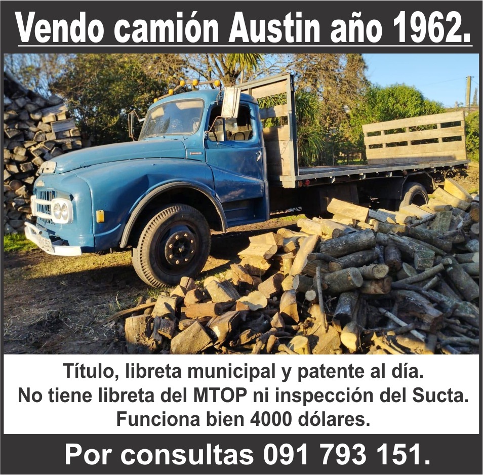 Vendo Camión Austin